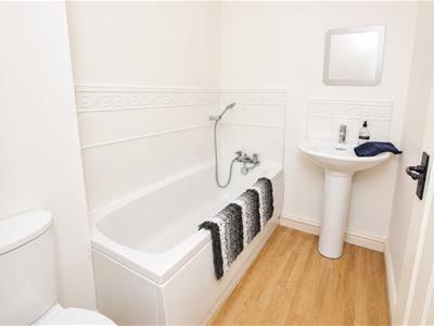 Picture 15